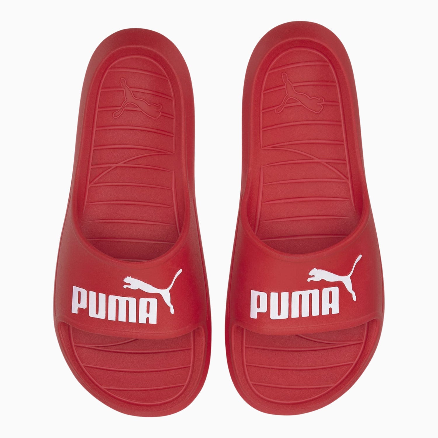 Puma divecat slides online