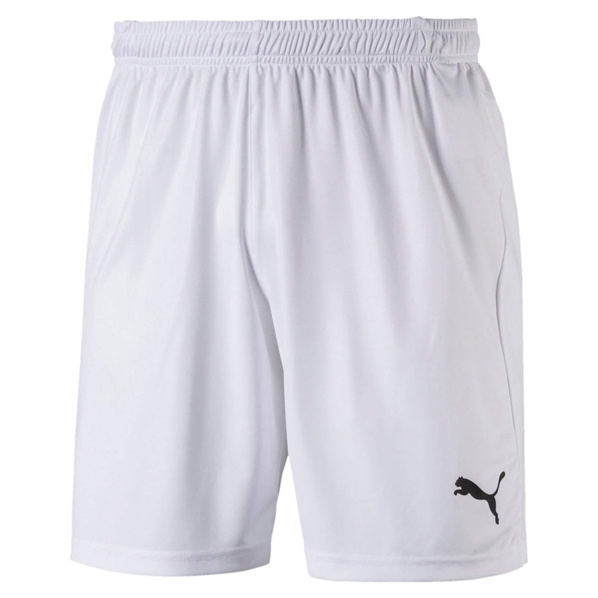 puma-mens-liga-performance-sport-shorts-703431-14