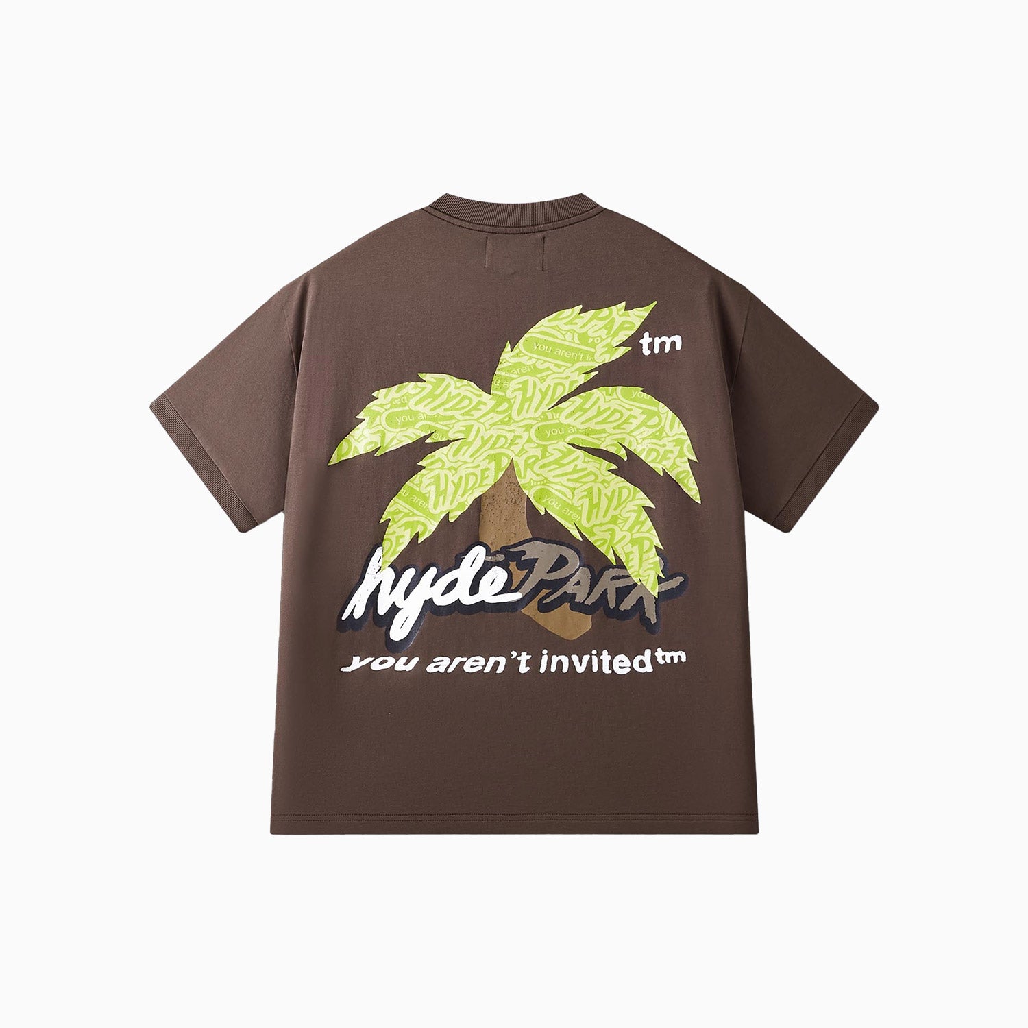 hyde-park-mens-paradise-park-ringer-t-shirt-10290863-bksd