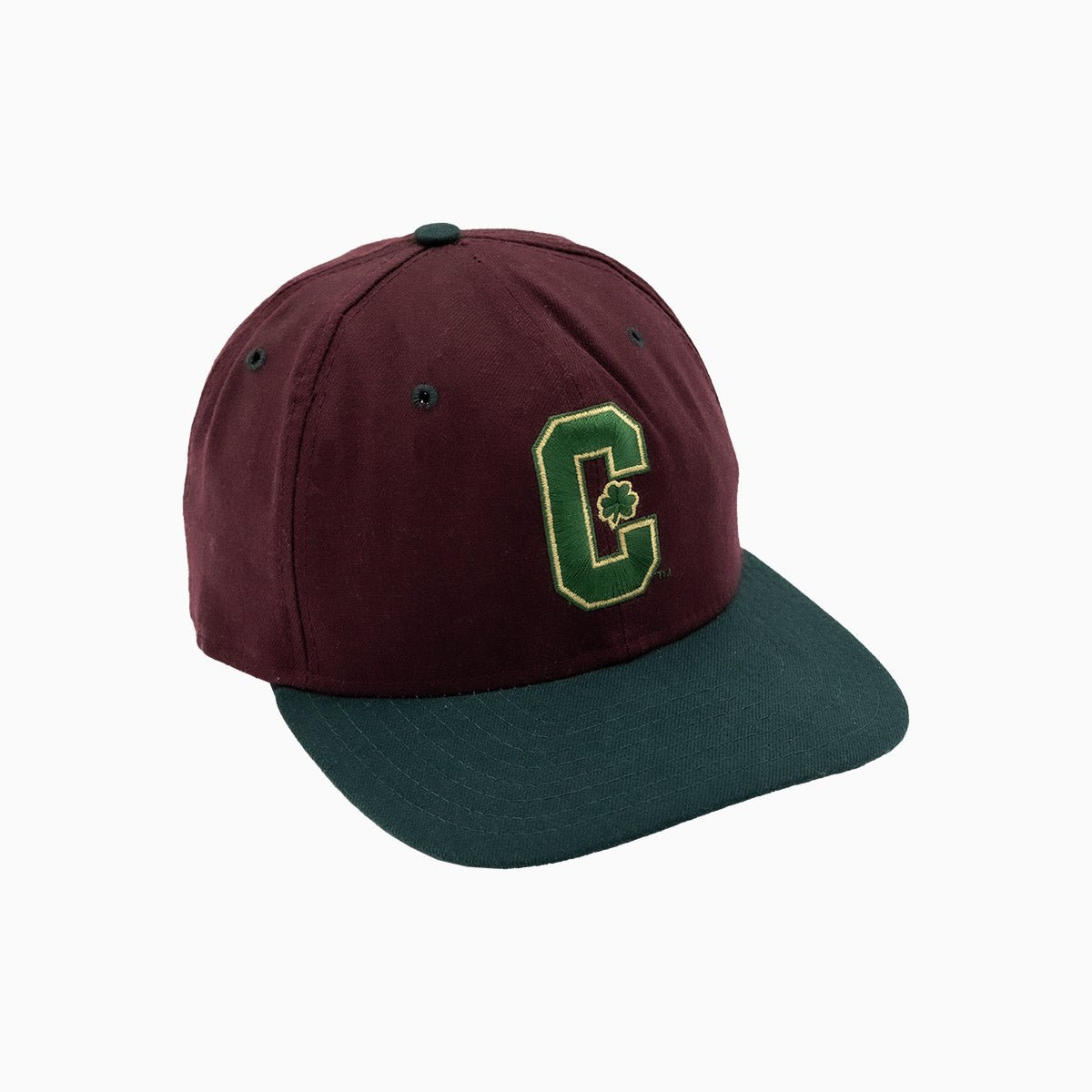 Boston Celtics NBA 9FIFTY Snapback Hat