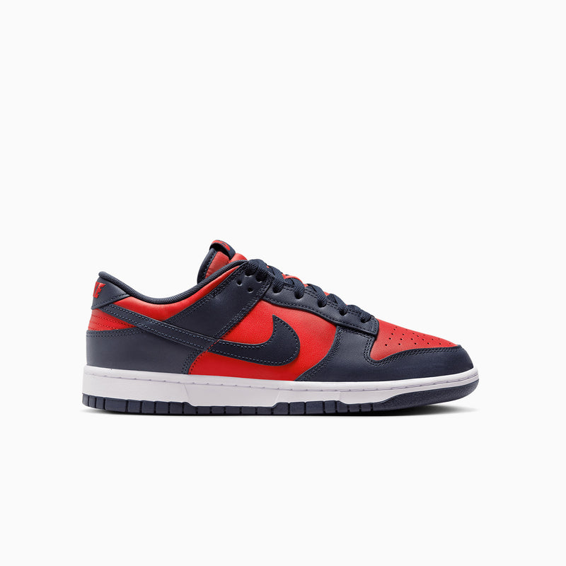 Nike Men's Dunk Low Retro City Attack Shoes